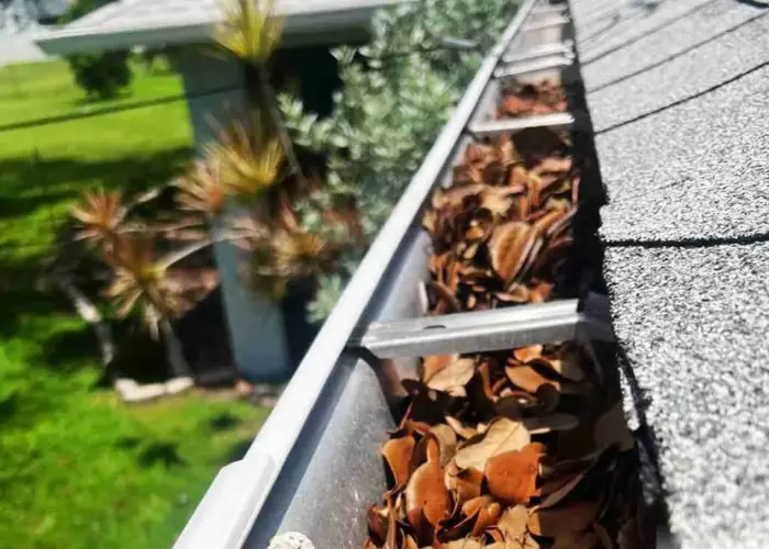 Tyrone gutter cleaning home page